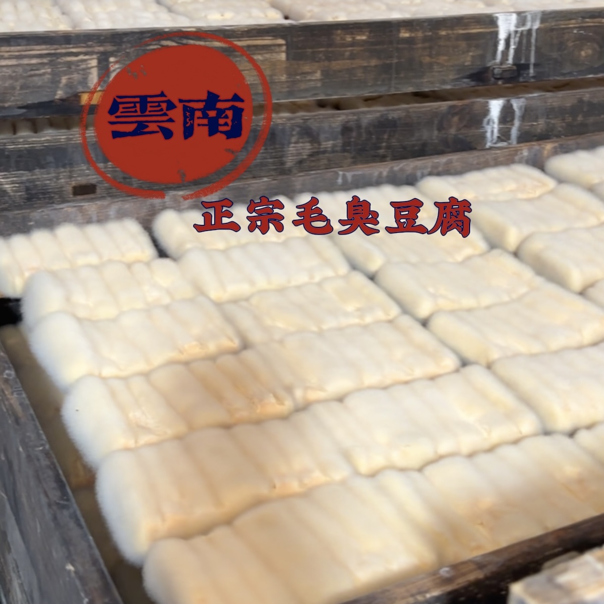 云南正宗呈贡七步场毛臭豆腐