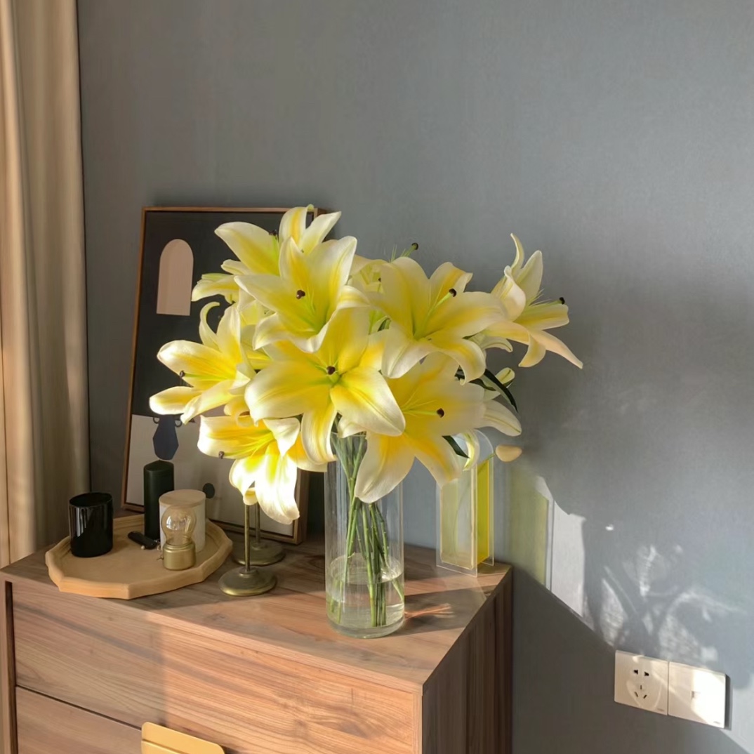 【西尔则】黄天霸-单瓣香水百合 云南基地直发水养鲜切花