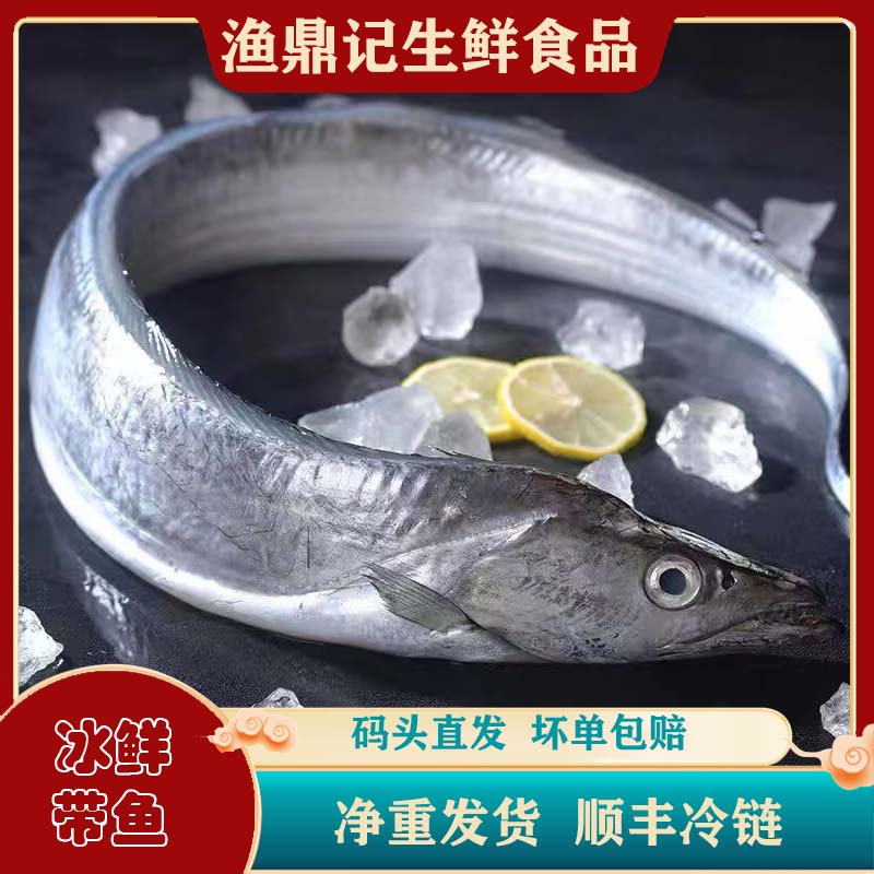 吕四雷达网小眼睛油带鱼  太嫩  容易破肚 介意者勿拍