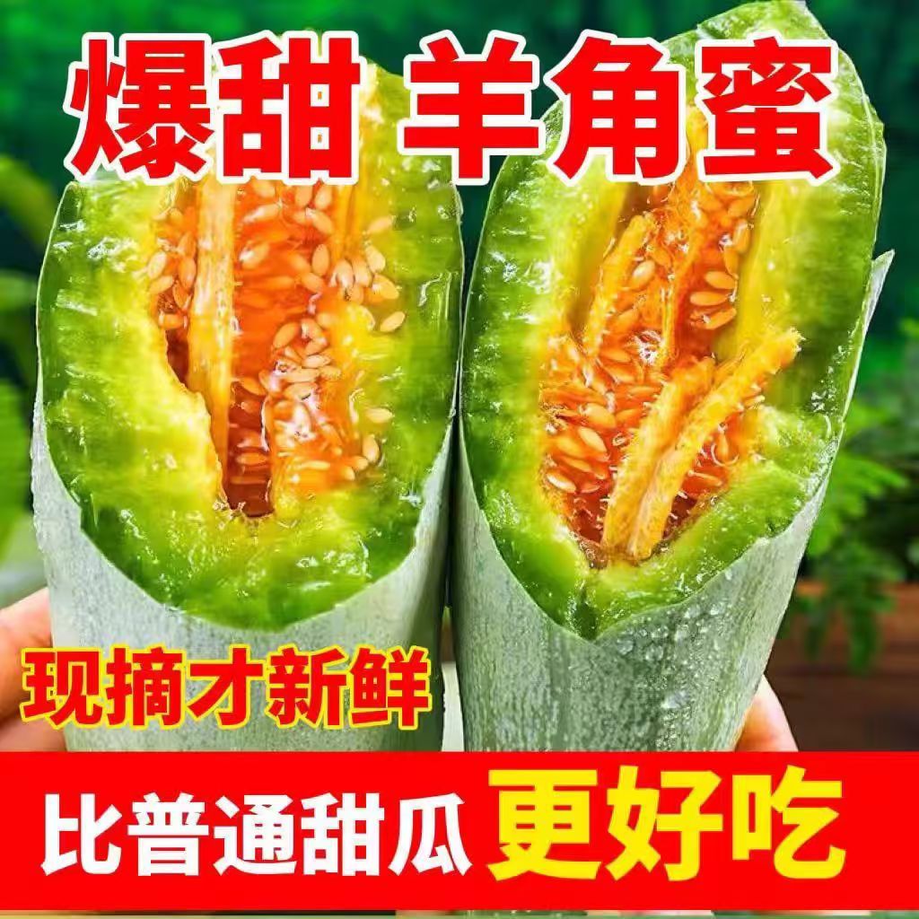 【现摘先发】山东寿光头羊角蜜甜瓜香瓜新鲜现摘应季水果羊角蜜甜瓜
