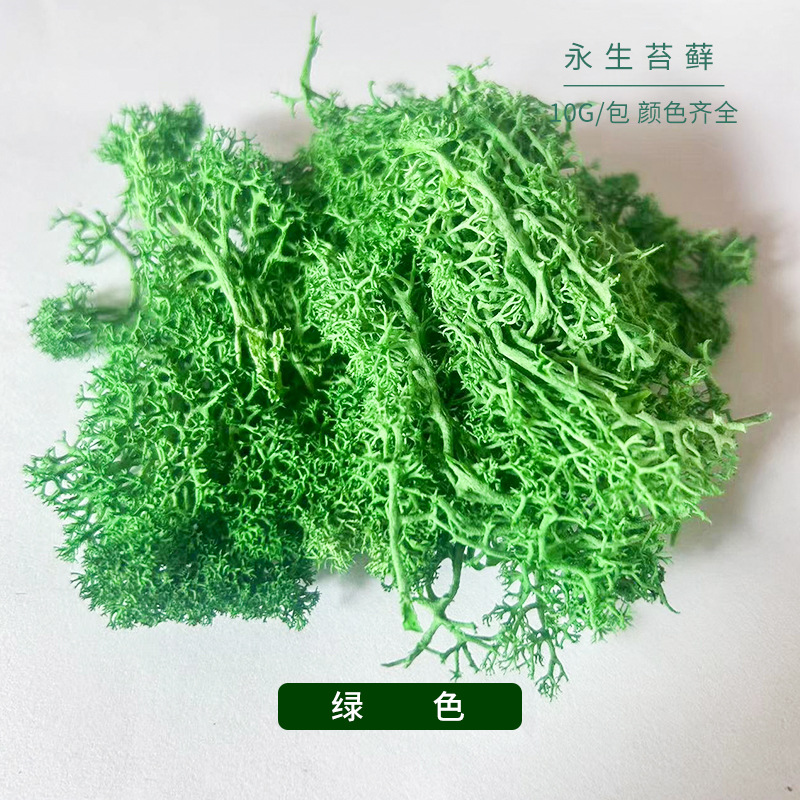 永生苔藓彩色苔藓干花景观diy装饰绿植装饰苔藓小包装永生花青苔