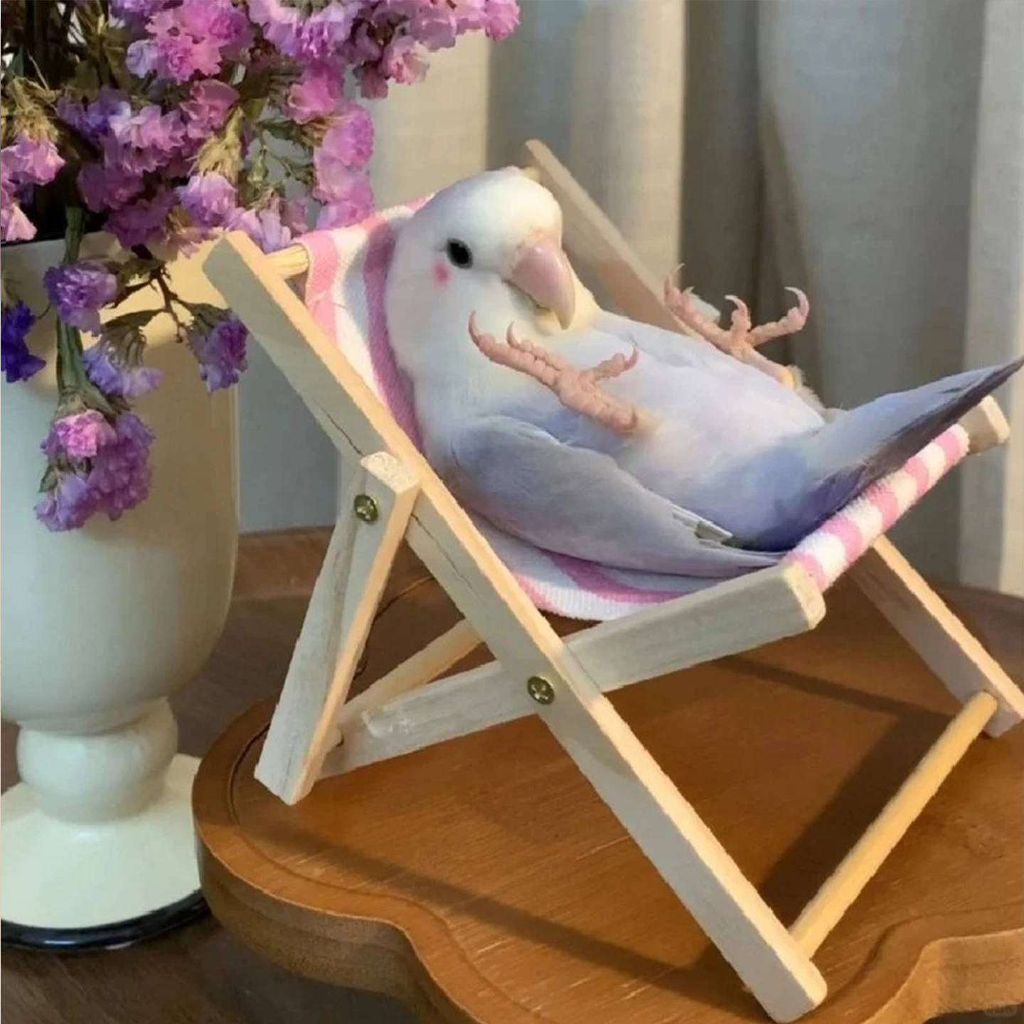 鹦鹉躺椅小太阳鹦鹉玩具小鸟用虎皮牡丹解闷自嗨解压玩具逗鸟神器