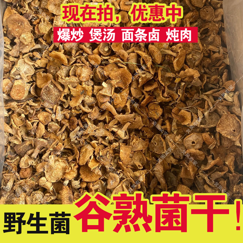 【新货】野生谷熟菌干 松乳菇 纵树菌 谷黄菌黄谷熟早谷菌蘑菇干货