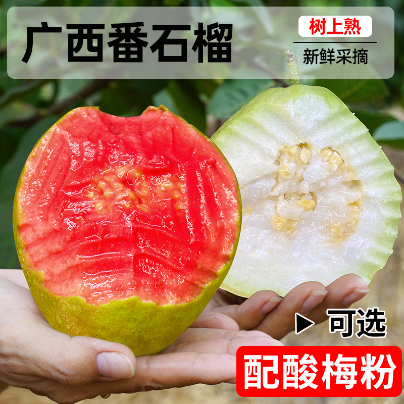 软心红白心芭乐3斤/5斤红心番石榴芭乐树上熟新鲜水果普邮ttt
