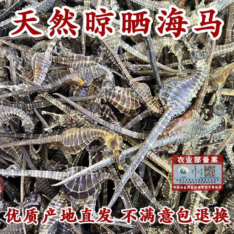 【海马干产地直发】正品生晒足干公母泡酒煲汤干货专用海马干货