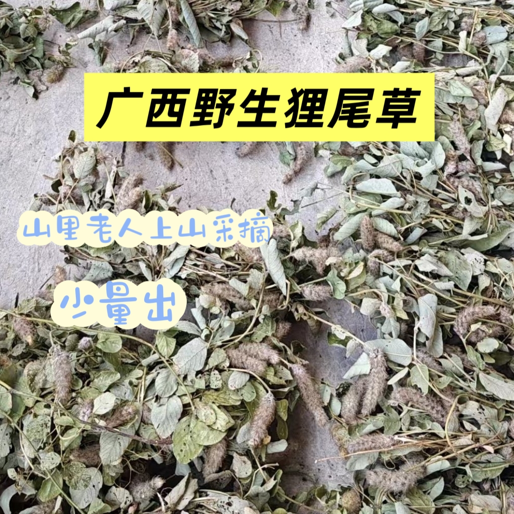 当季新鲜狸尾草根茎干货日常可煮水喝