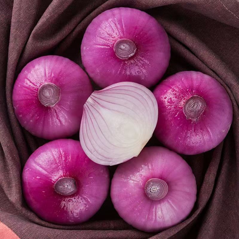 【河西小扁】山东紫皮小扁洋葱圆葱食用农家自种农产品5斤装