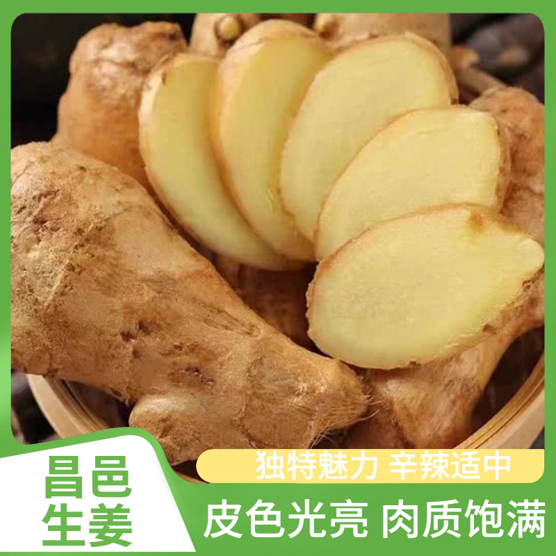 山东批发特产风干无土水洗大黄姜姜块生姜老姜月子姜【单枝小果】