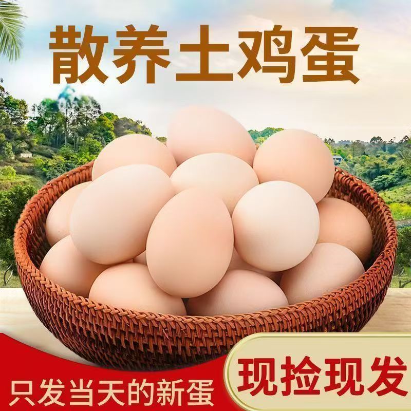 【50枚】散养土鸡蛋新鲜营养健康每日农村甄选鲜蛋农村散养土鸡蛋