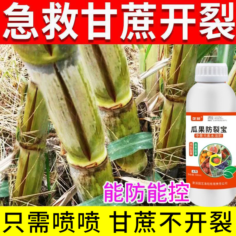 甘蔗防裂剂甘蔗裂口专用果不裂叶面肥甘蔗防裂口炸裂补充钙镁硼锌