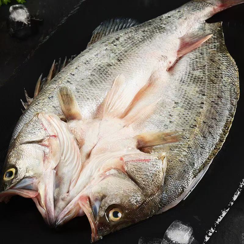 拍四条送一条开背海鲈鱼去鳞去鳃去内脏450g-500/条新鲜免处理