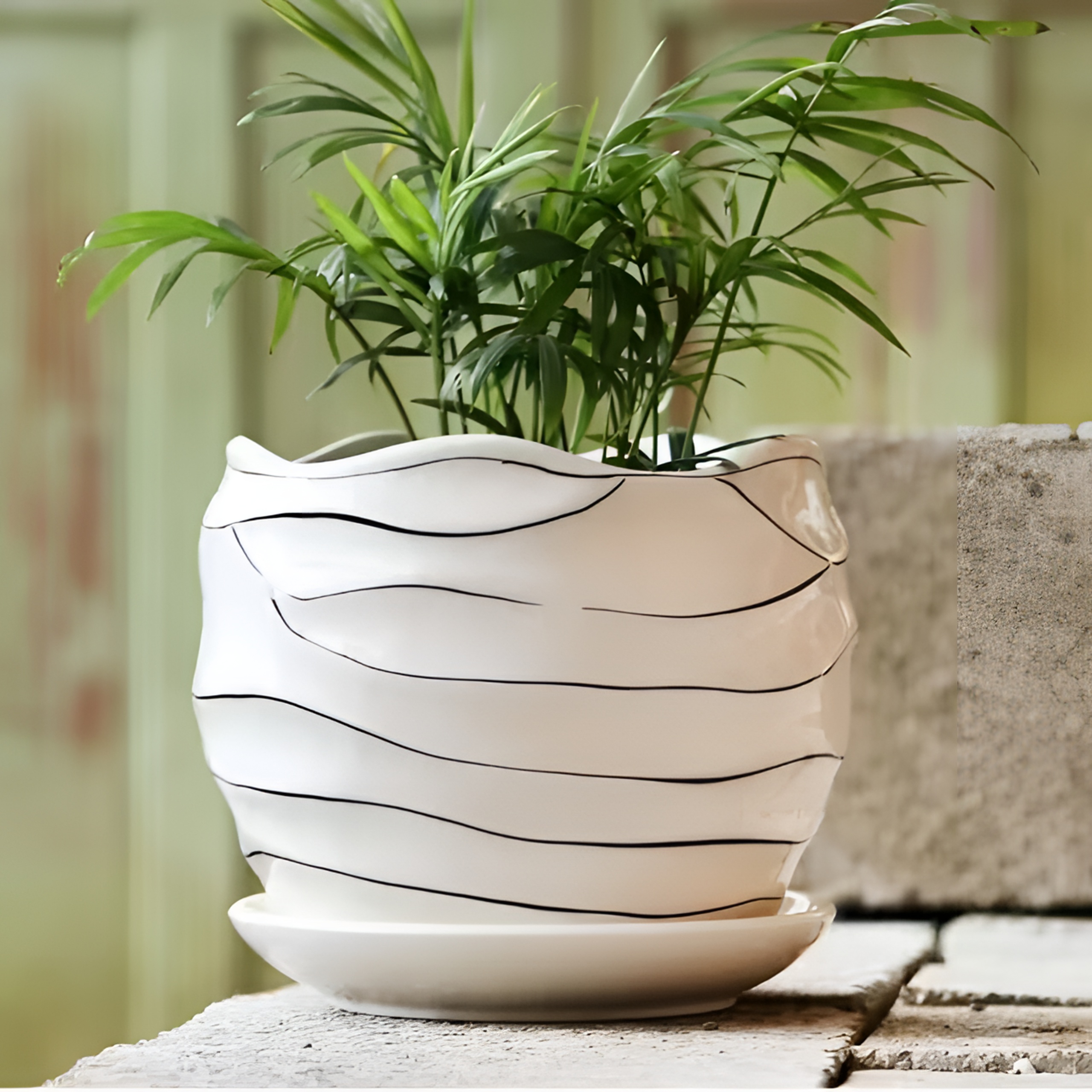 陶瓷花盆带托盘创意多肉花盆特价简约肉肉花盆精致捡漏家用盆大号