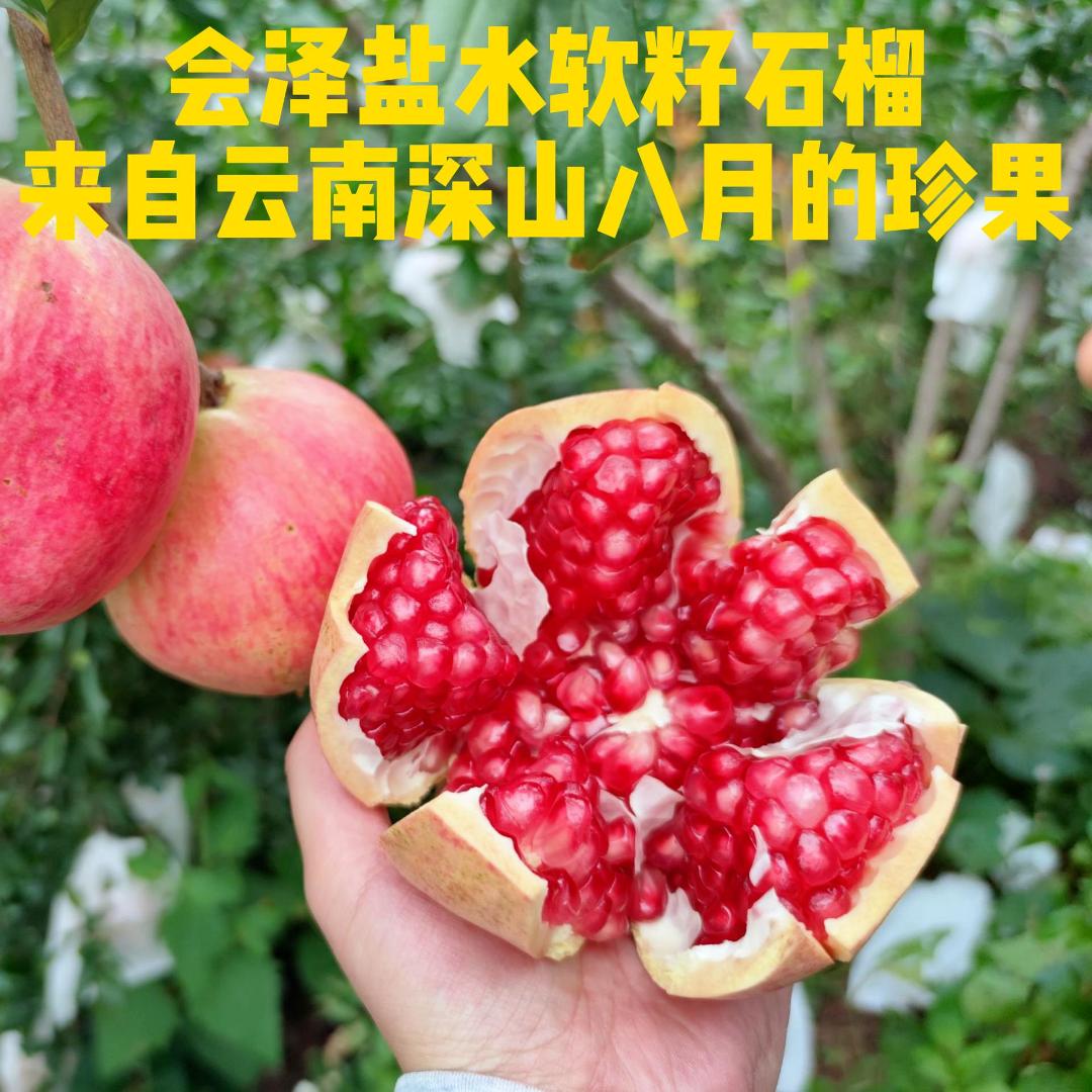 会泽盐水软籽石榴新鲜采摘爆甜多汁当季水果籽软可食老少皆宜精品