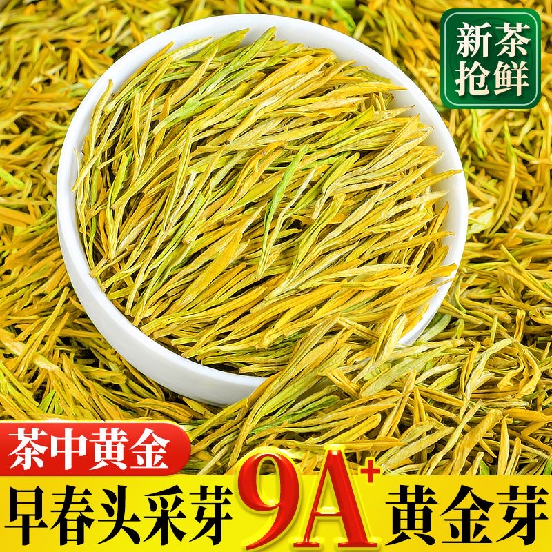 【2025年新茶 明前黄金芽高货】小嫩芽精品高山绿茶送礼