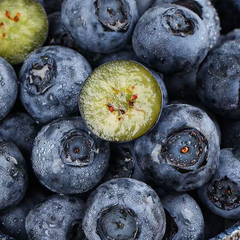 【特大巨无霸】20-24mm云南露天花香蓝莓高山种植现采现发25带卡尺