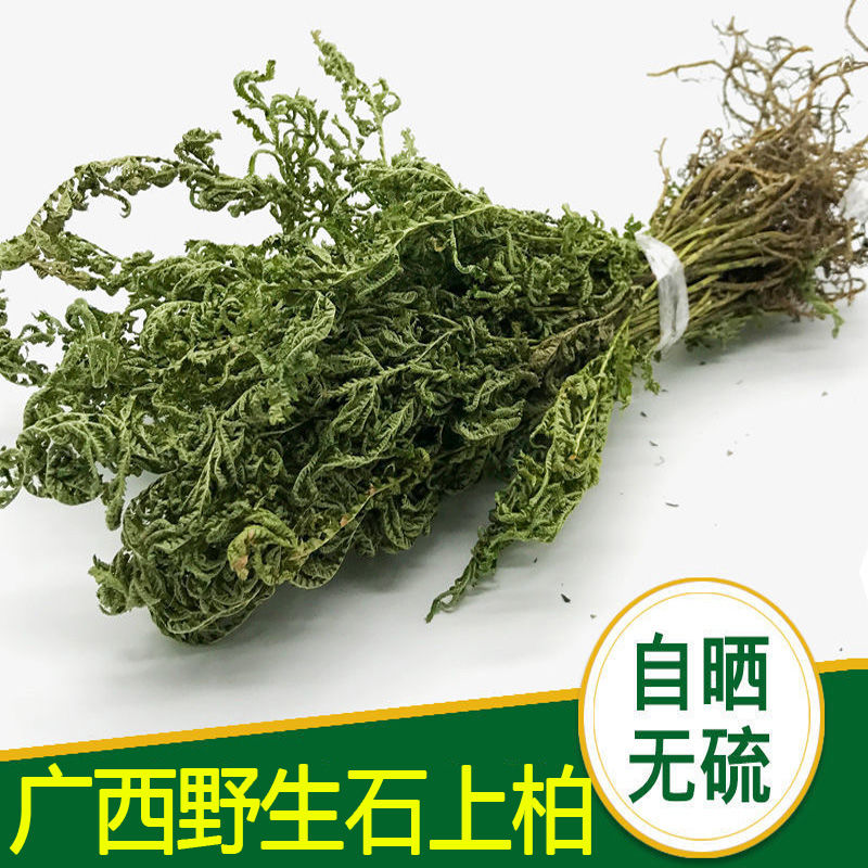 广西野生石上柏整株中草药无硫晒干龙鳞草中药材泡茶另售益母草