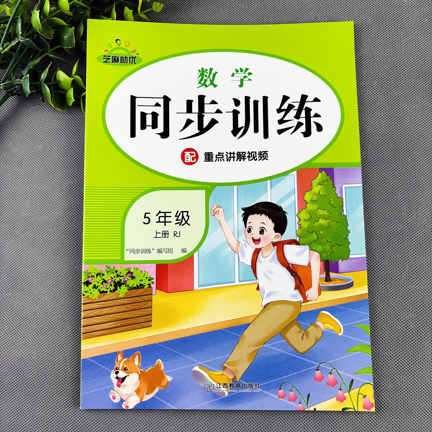 五年级上册数学同步训练人教版数学练习册一课一练数学必刷题