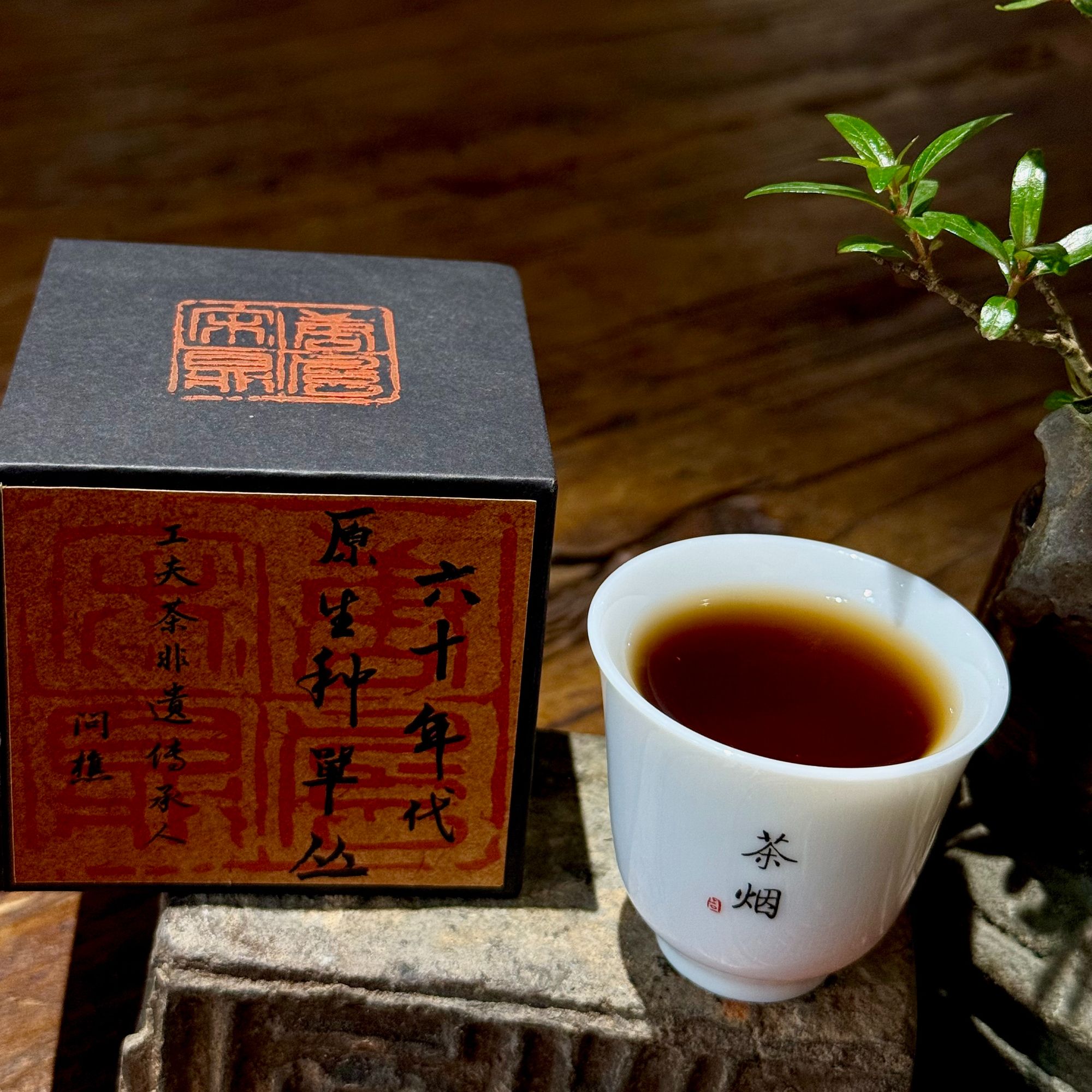 原生种单枞 六十年代单枞茶  潮州非遗工艺春茶品鉴