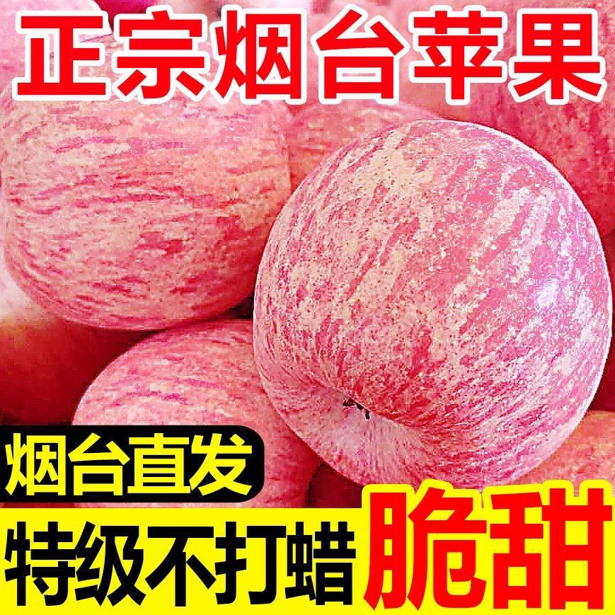 产地直发正宗红富士新鲜水果苹果山东烟台脆皮冰糖心脆甜红富士