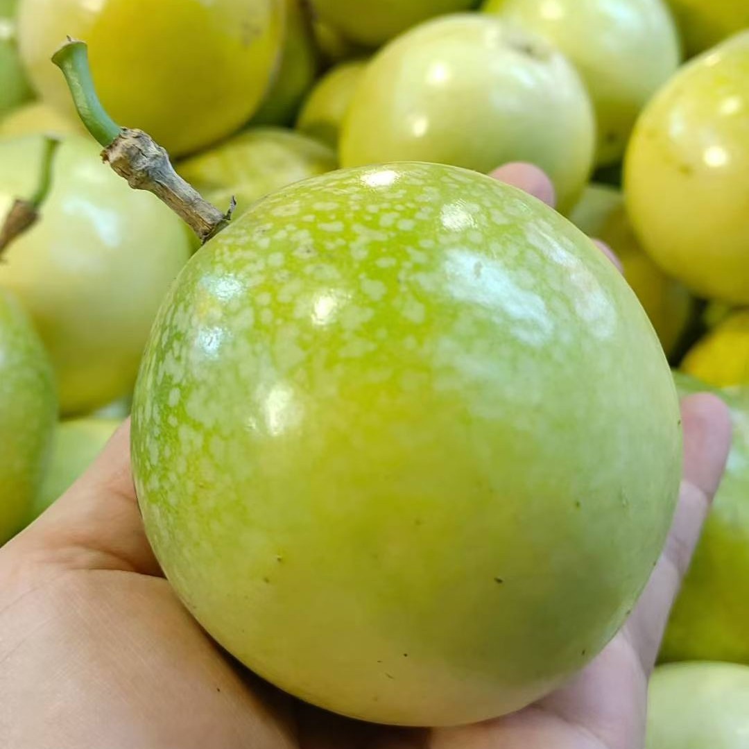 新鲜现摘钦蜜9号百香果黄金百香果大果当季水果香甜多汁口感饱满