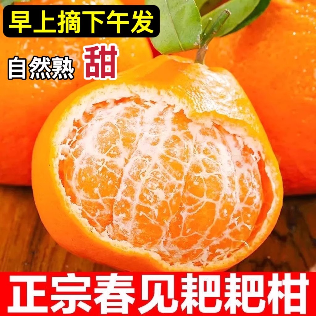 新鲜高山丑橘四川耙耙柑时令水果当季整箱正宗丑柑橘子桔子粑粑柑