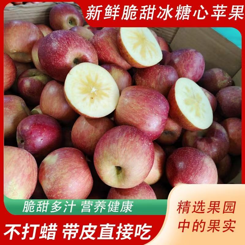 汉源冰糖心苹果脆甜多汁应季水果坏果包赔丑苹果冰糖心产地现摘