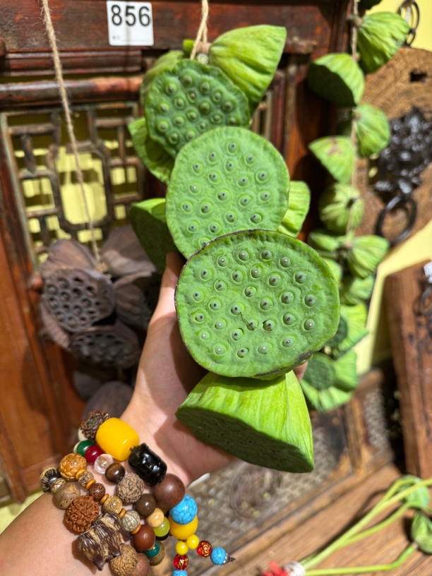 2025新鲜莲蓬一串10个创意手工挂件（挂起来晾干）