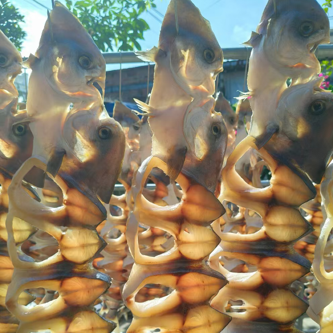 湛江特产1斤-1.2斤一条金鲳鱼干淡晒金昌鱼干非足干深海鱼咸鱼干