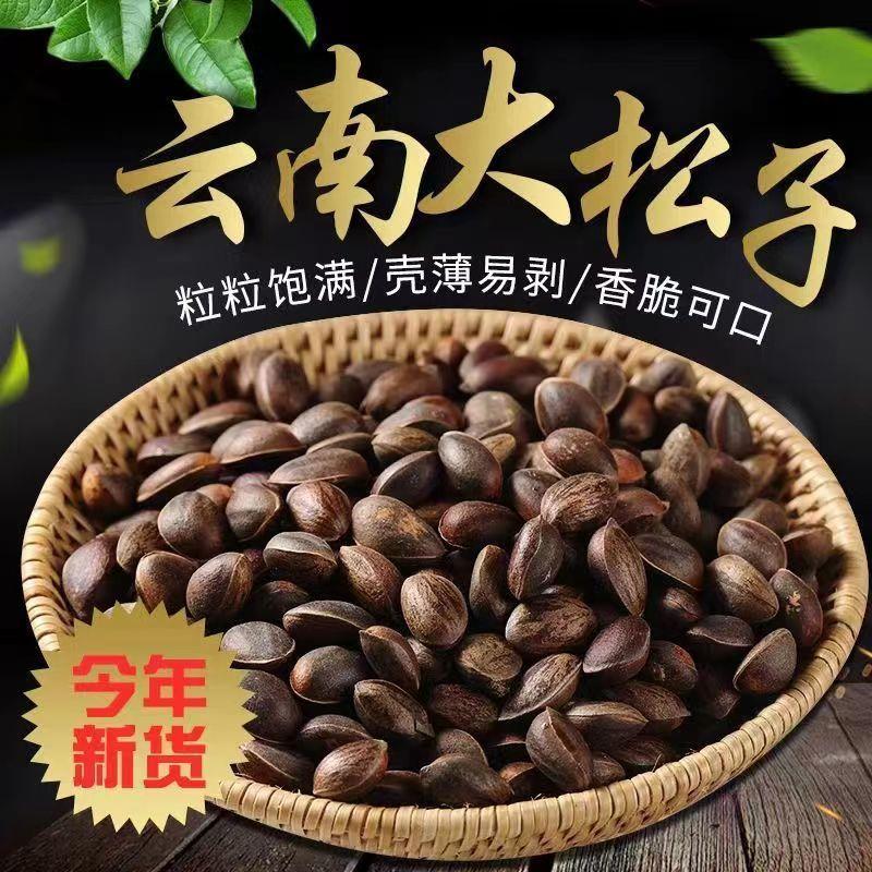 2024云南新鲜生松子未加工无添加原味野生薄皮松子落水松孕妇坚果