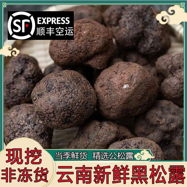 云南新鲜黑松露天然特级黑松露当季山珍野生菌滋补煲汤土特产