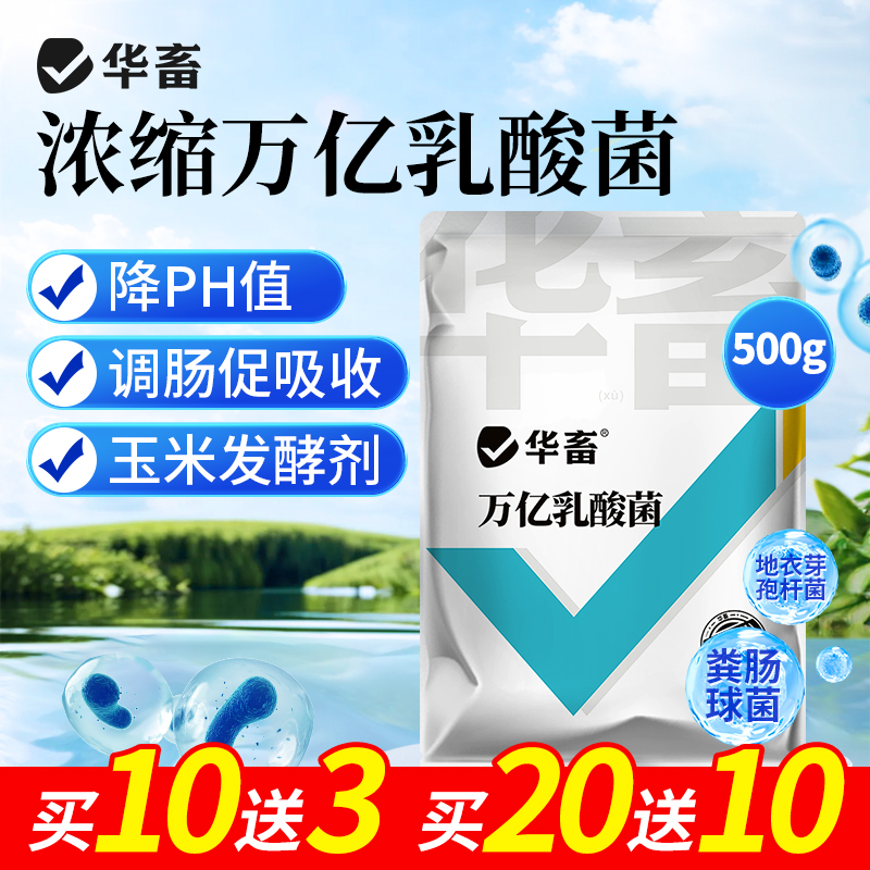 【拍20发30】万亿乳酸菌降ph诱食促长玉米饲料发酵剂鱼塘虾蟹专用S