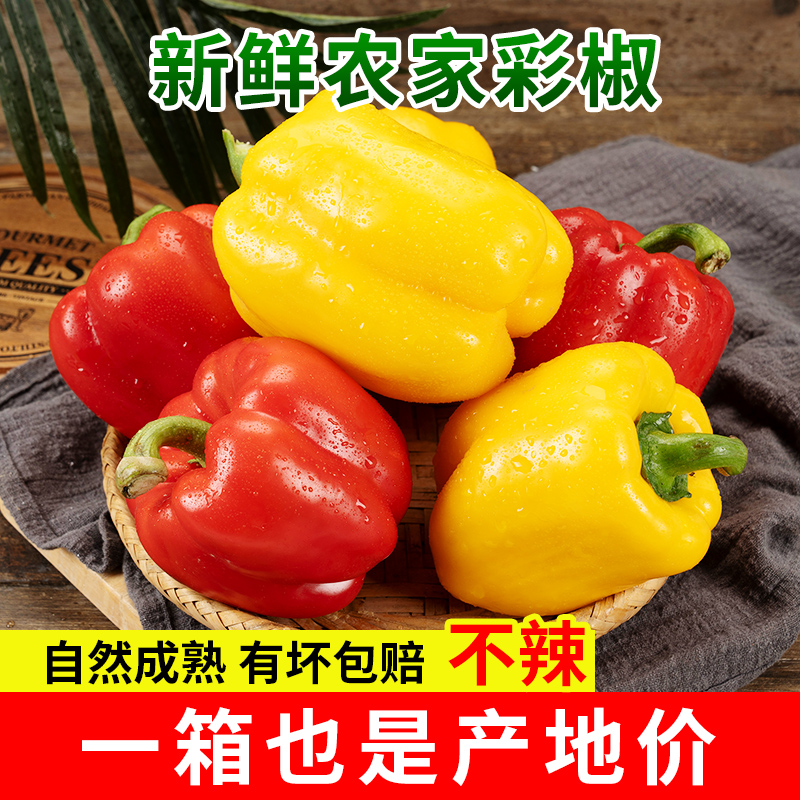 红黄双色彩椒新鲜采摘五彩彩椒新鲜生吃当季水果椒3-5斤装JD