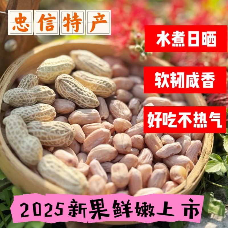2025年新水煮咸干花生软糯鲜香去壳即食休闲小零食