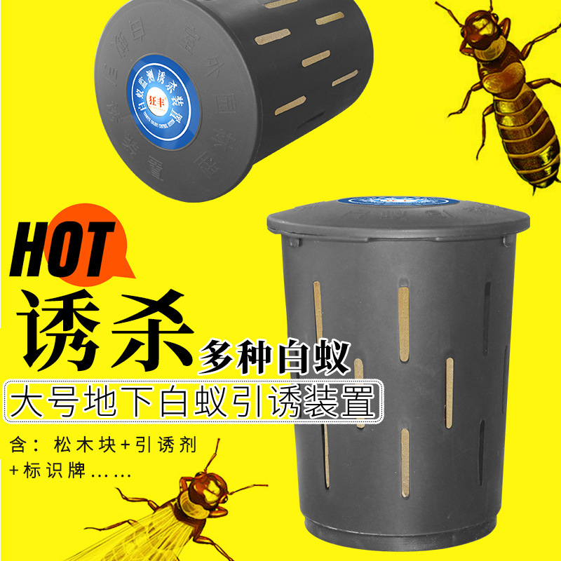 白蚁引诱盒 白蚁后巢一窝灭净端室内外家用预防除白蚁药粉 诱杀箱