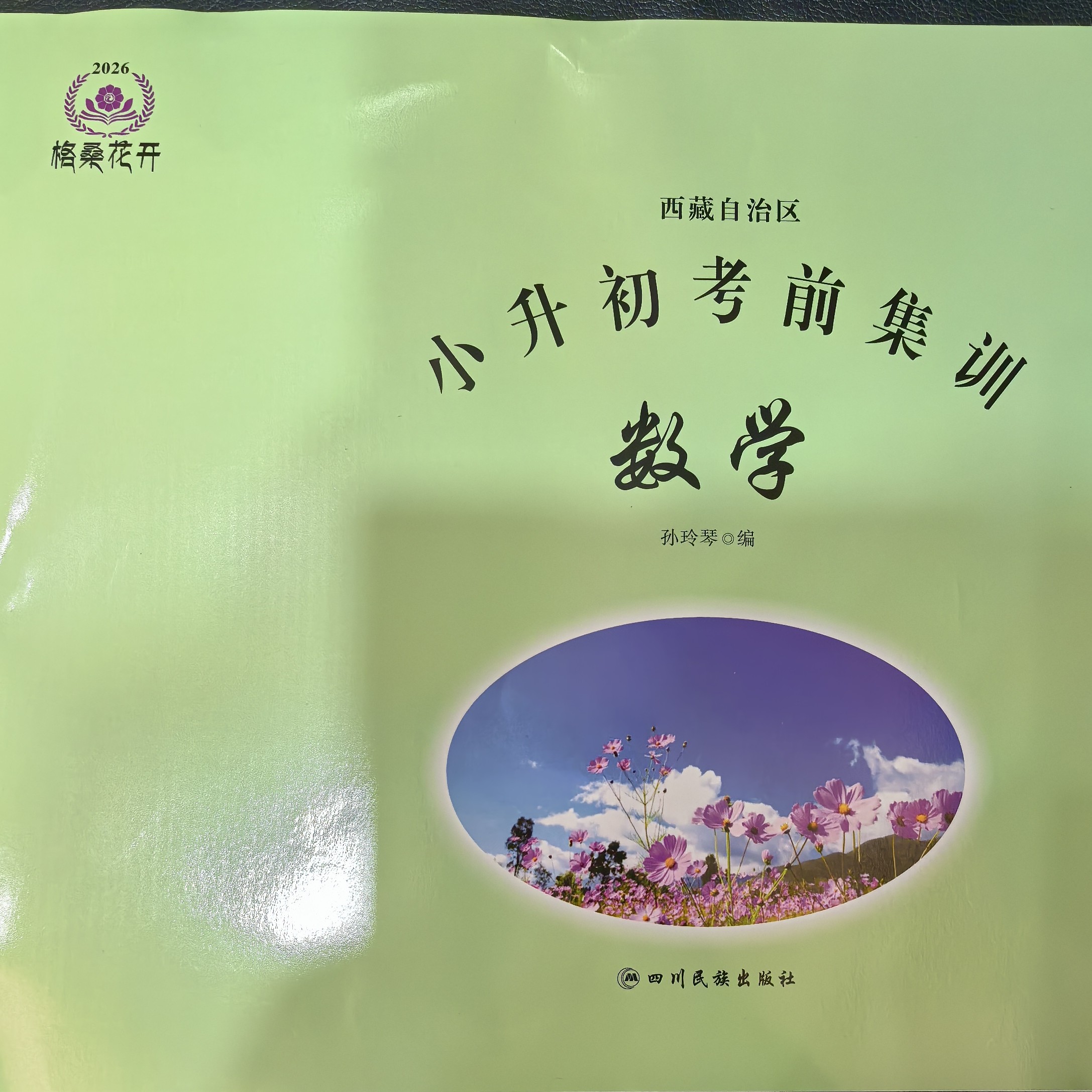 小升初考前集训.数学正版练习小学生书籍数学教辅书2026版