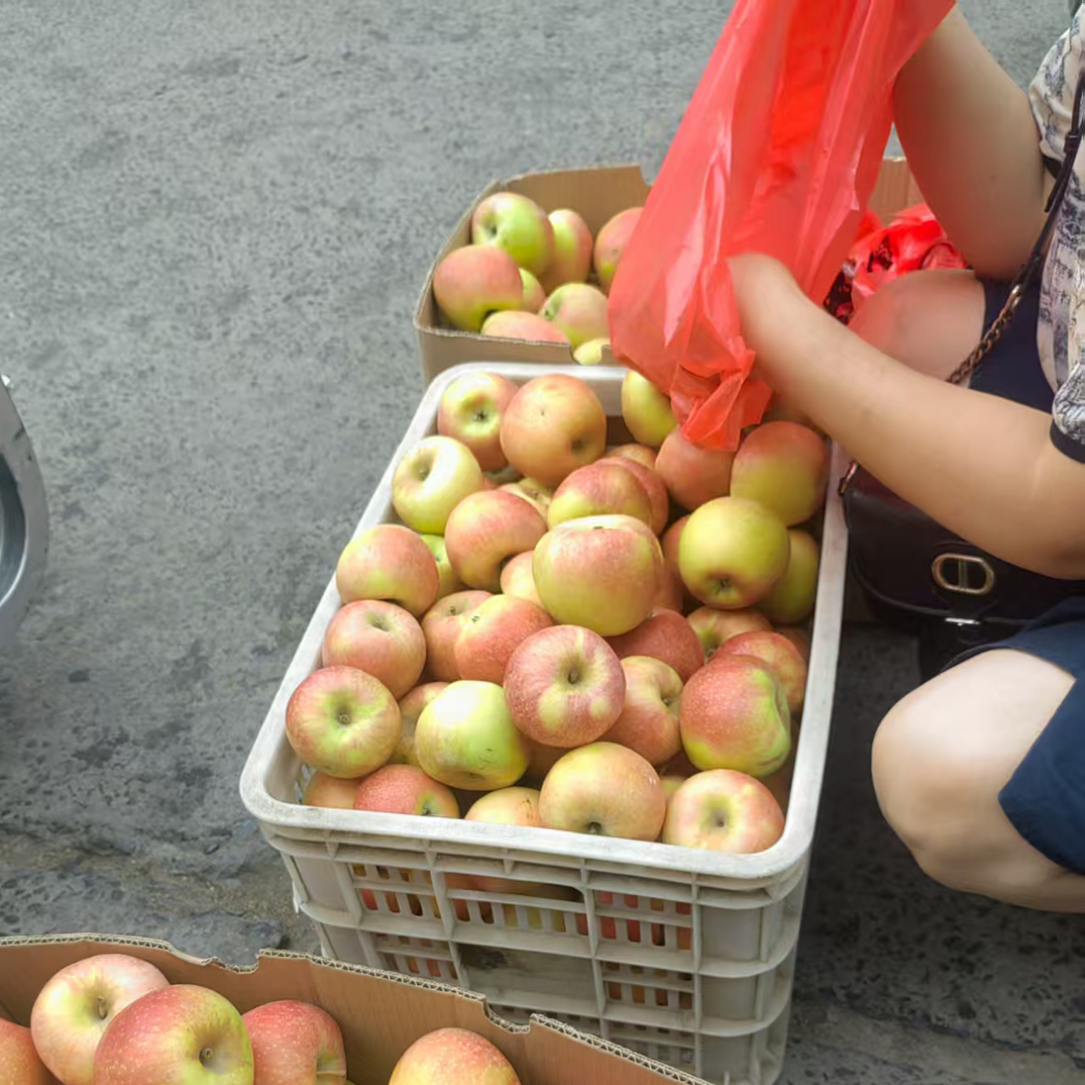 山西红富士新鲜当季顺丰包邮