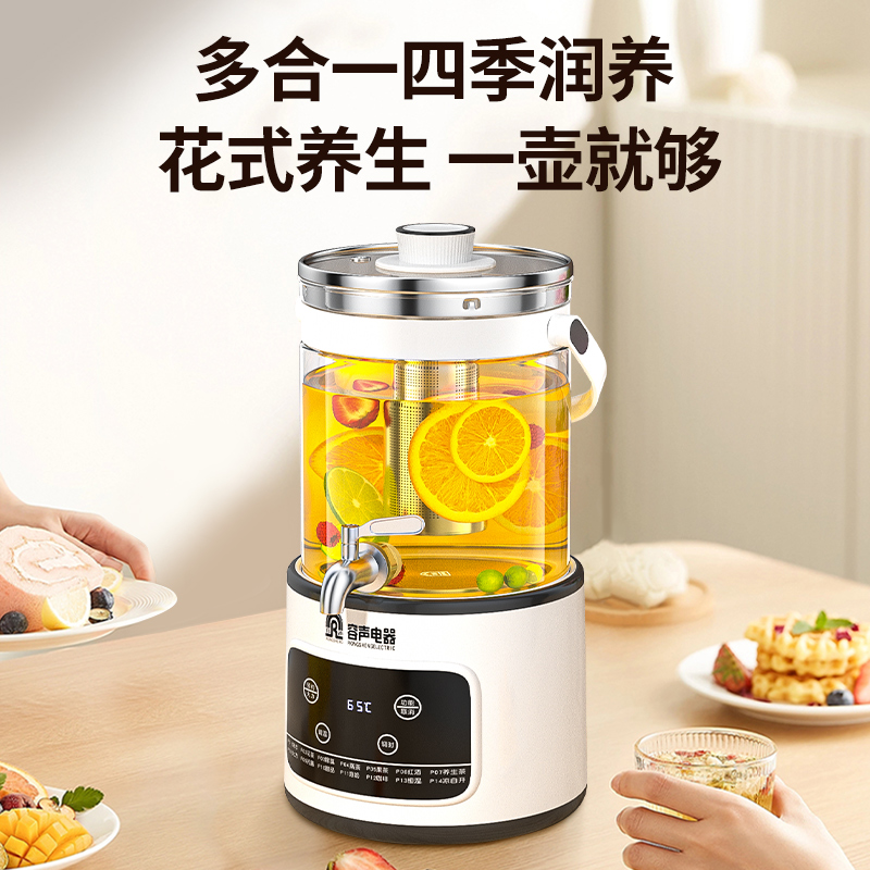 RONGSHENG/容声纯钛水龙头养生壶家用大容量恒温多功能果酒炖煮水