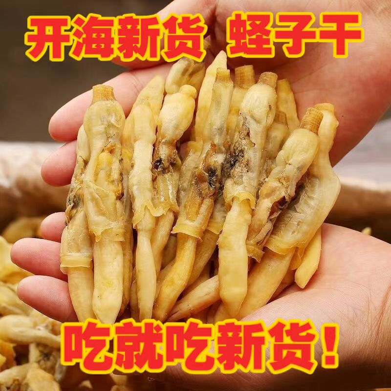 新晒蛏子干蛏王肉海鲜干货特大干净无沙足干炒菜煲汤煲粥营养蛏子