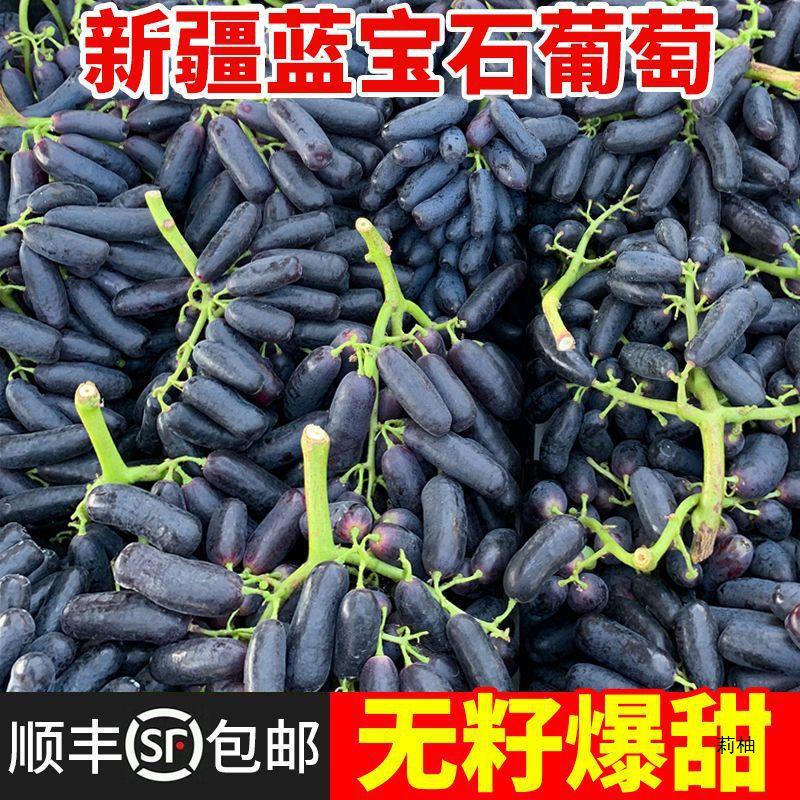 蓝宝石葡萄金手指美人指葡萄新鲜水果无籽葡萄黑提子商用