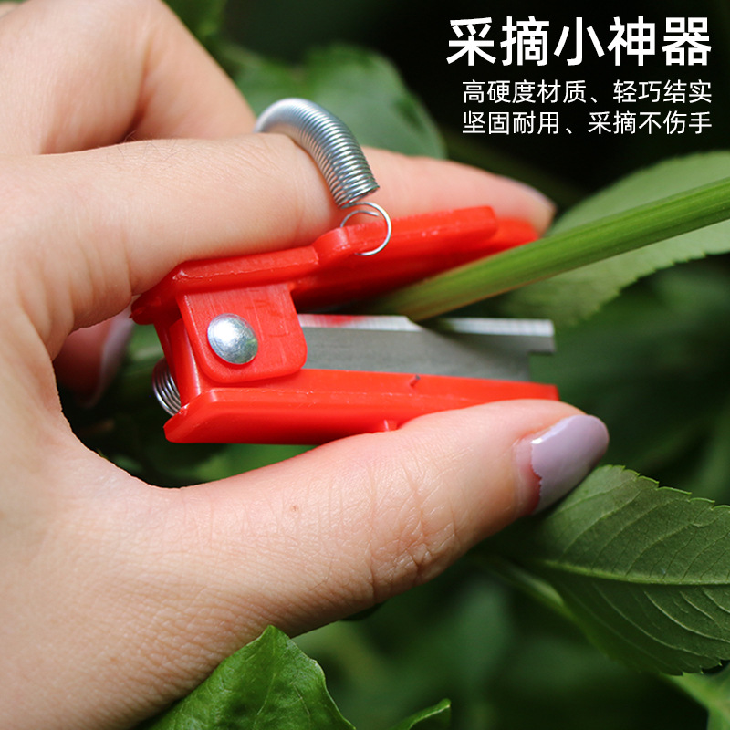 采摘小铡刀拇指刀葡萄掐尖黄瓜蔬菜打叶掐须采摘器小铡刀采摘小刀