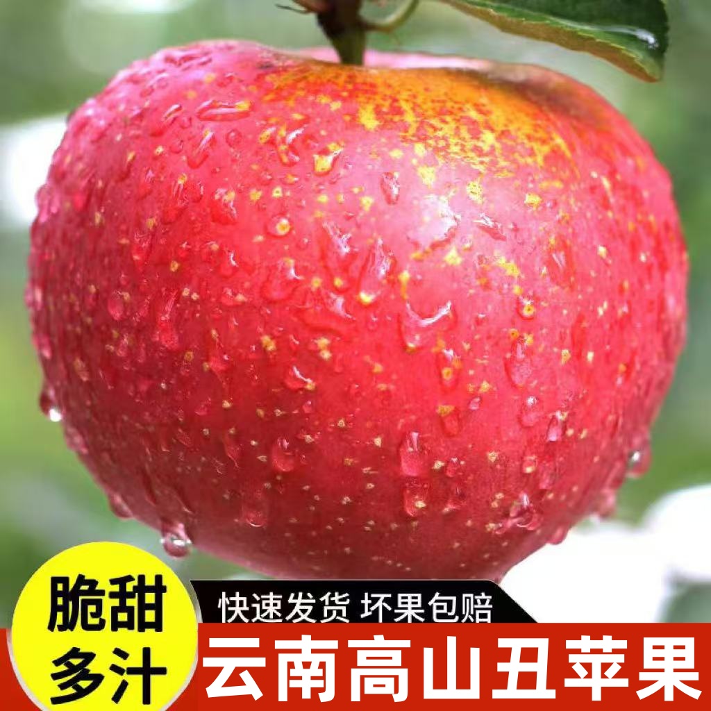 2025年云南高原丑苹果华硕头茬鲜果脆甜多汁高山种植2斤/5斤
