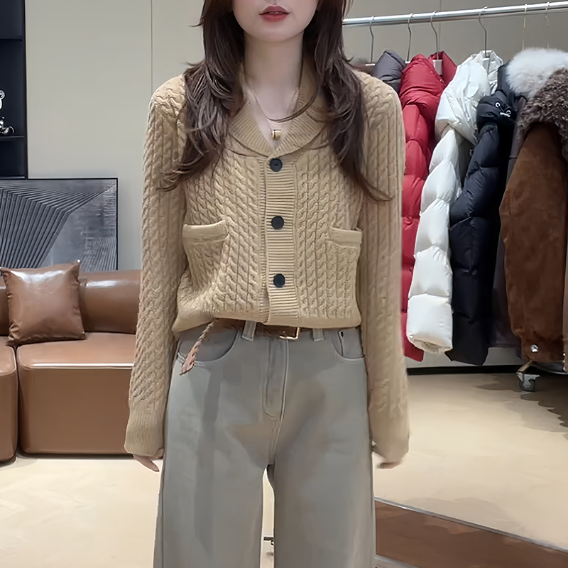 LINYOU【时光慢递】休闲风翻领显瘦遮肉针织衫女装冬季毛衣气质上衣