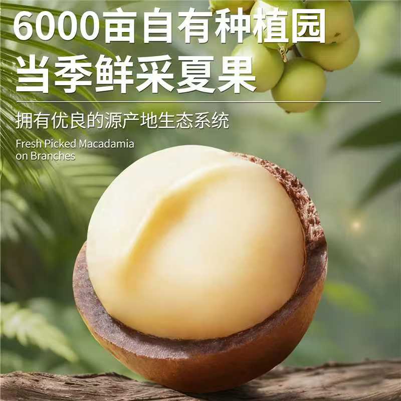麦果匠2025新季新果/特大夏威夷果/鲜香酥脆/营养丰富