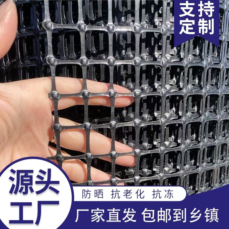 防护围栏网养鸡鸭塑料网养殖网胶网果园圈地菜园防护网玉米网格栅