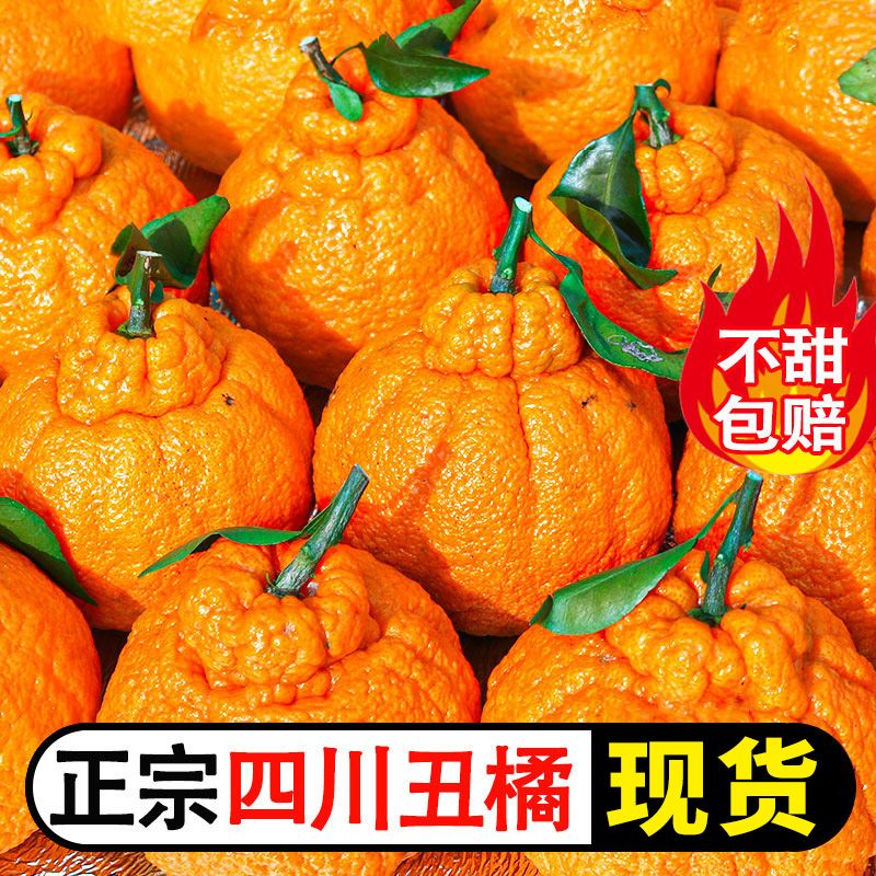 正宗四川不知火丑橘新鲜丑桔子蜜橘子应当季孕妇水果耙耙柑粑粑柑