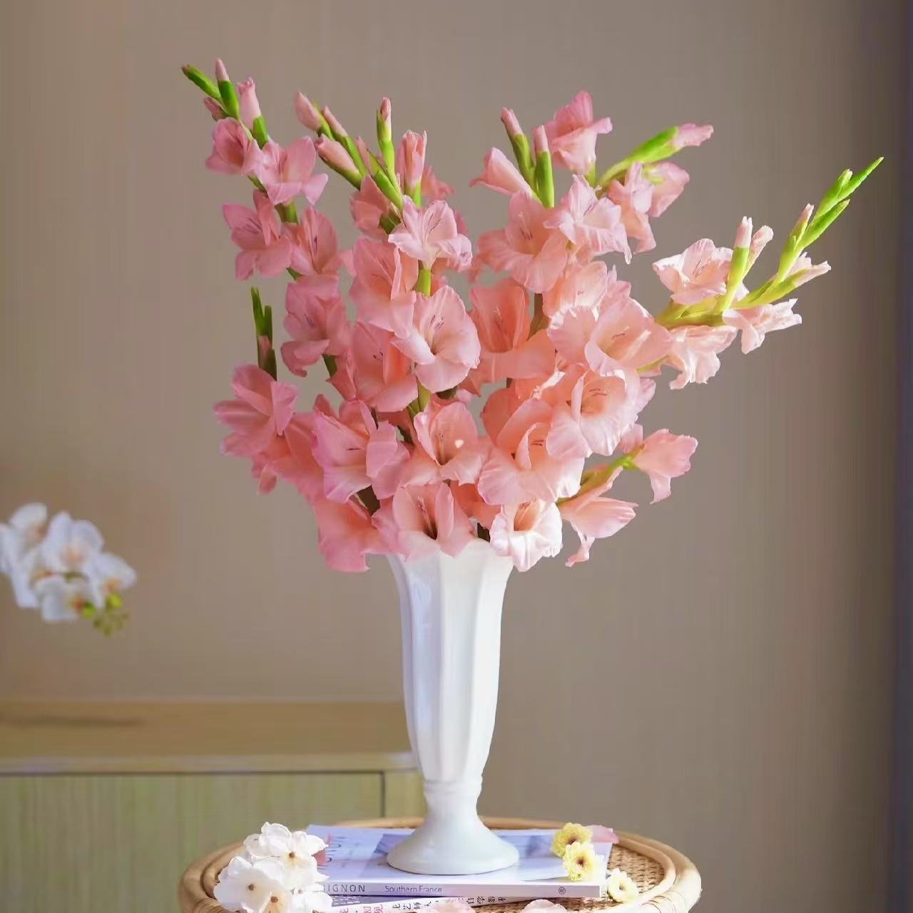 【买5枝+送5枝】剑兰鲜切花产地直发品质保证好养护鲜花花期花