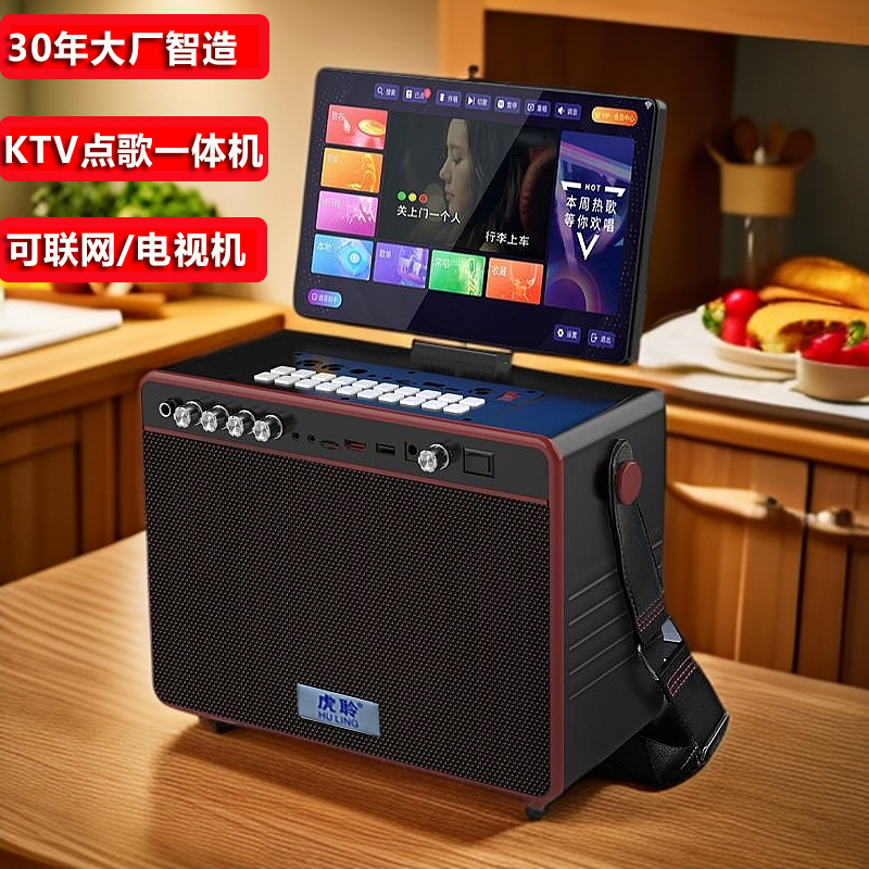 虎聆户外广场舞音箱声卡直播KTV点歌音响一体机家庭K歌套装音响