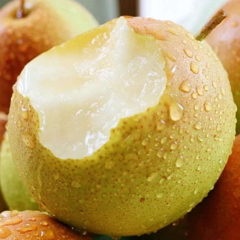 正宗山西玉露香梨新鲜斤水果现摘当季整箱脆甜酥梨丹霞红梨