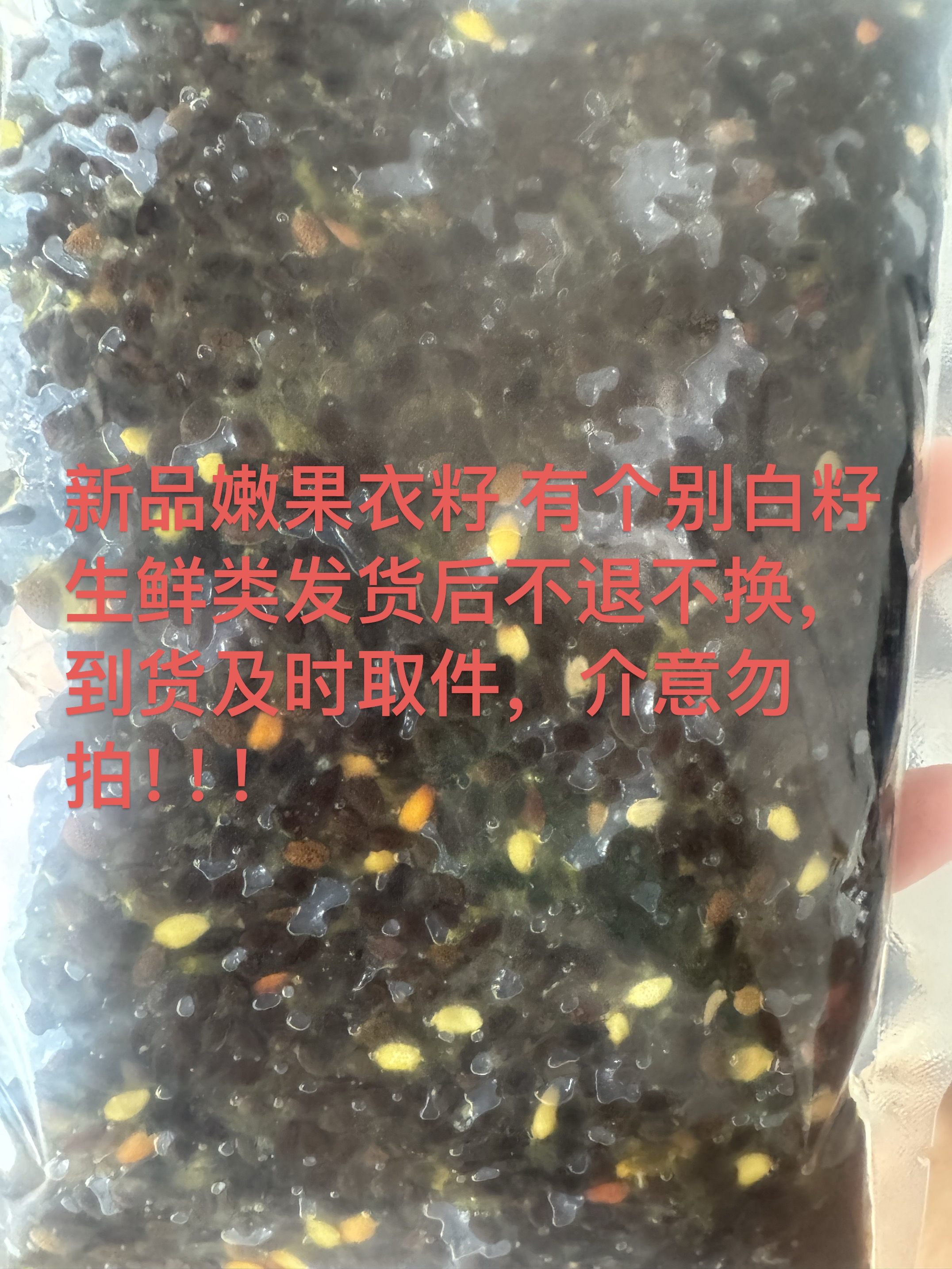 黄金果籽（嫩果衣湿籽）
