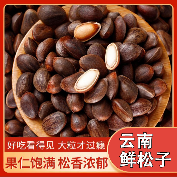 2025云南松子新鲜湿生松子新货颗粒落水散装薄壳坚果生松子无添加
